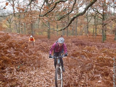 Entraînement forêt de Rambouillet