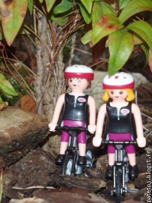 Petite ballade dans les bois